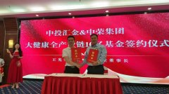 晶采观察丨龙舟“划”出文